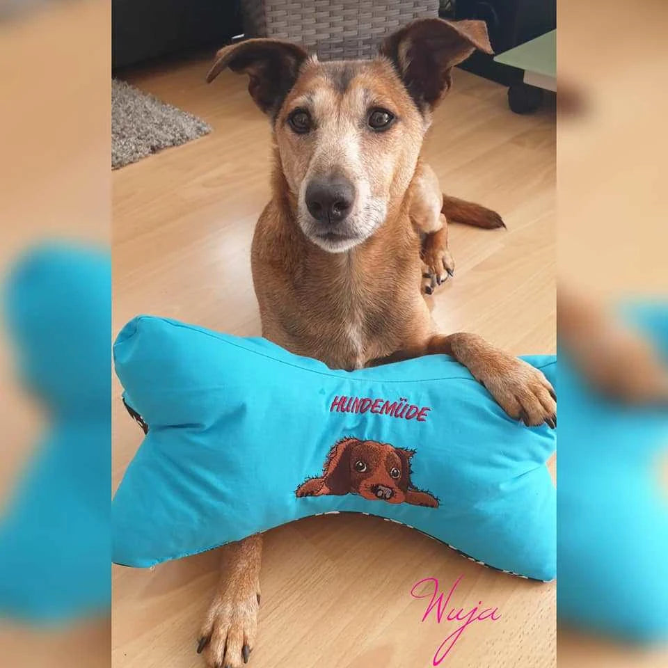 Stickdatei Hund mit Schriftzug Hundemüde von stiXXie by lajana