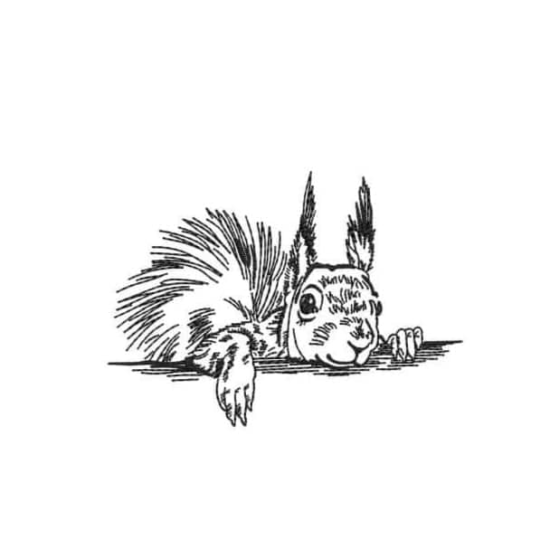 Stickdatei Eichhörnchen Kritzel von stiXXie by lajana