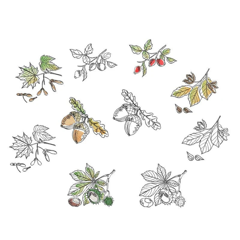 Stickdatei Herbstfrüchte